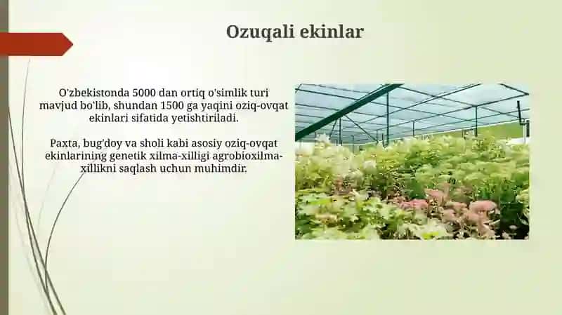 Yetishtirilgan o'simliklarning xilma-xilligi 3