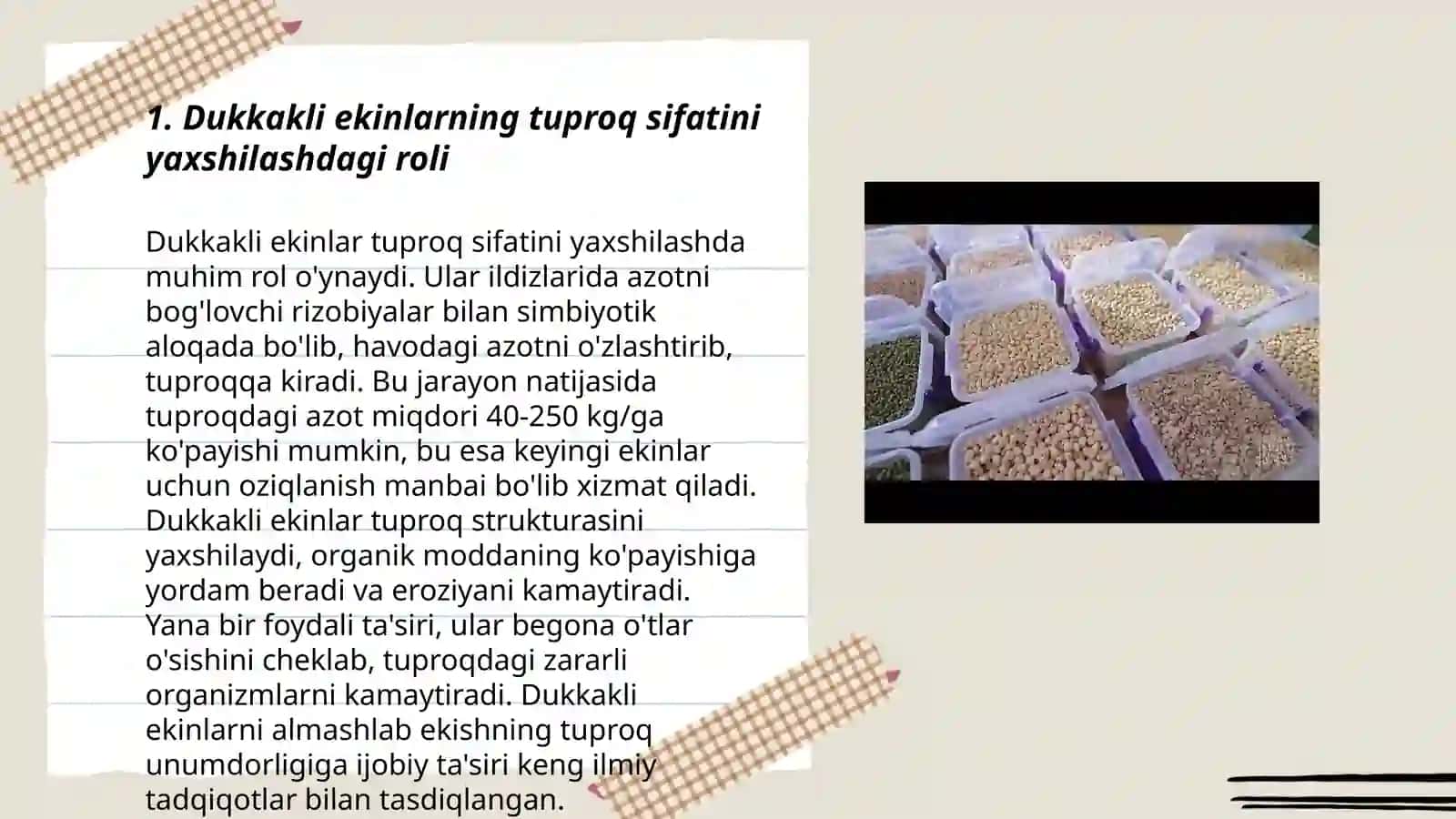 Dukkakli - don ekinlarining ekologik ahamiyatii 3