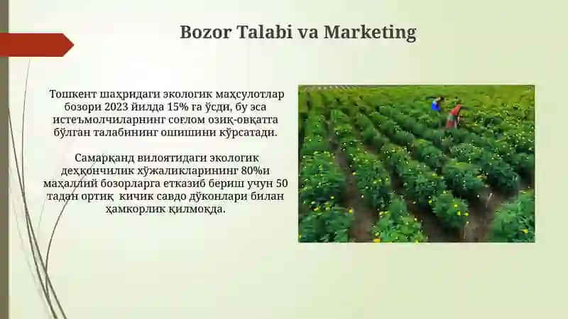 Ekologik toza qishloq xo‘jaligi mahsulotlarini yetishtirish 3