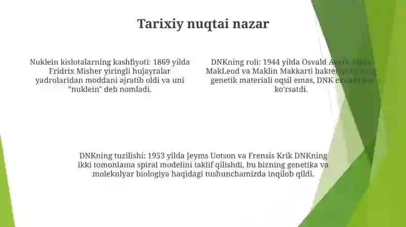 Nuklein Kislotalar 3