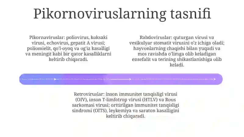 Pikornoviruslar, Rabdoviruslar Tasnifi Va Ularqo'Zg'Atadigan Kasalliklarning Labaratoriya Tashhisi, Profilaktikasi. Gepatotrop Viruslar. Retroviruslar Viruslar Tasnifi, Laboratoriya Tashhisi.Profilaktikasi 3