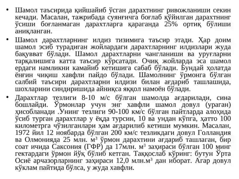 Ўрмон ва шамол 3