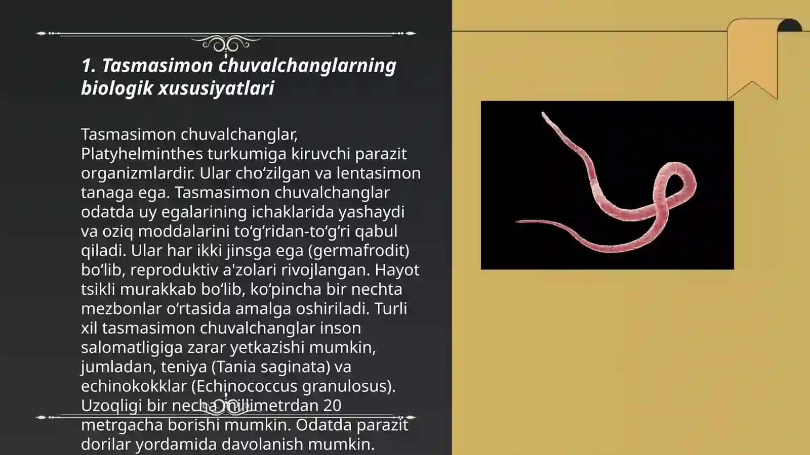 Tasmasimon chuvalchanglar va Odamlar 3