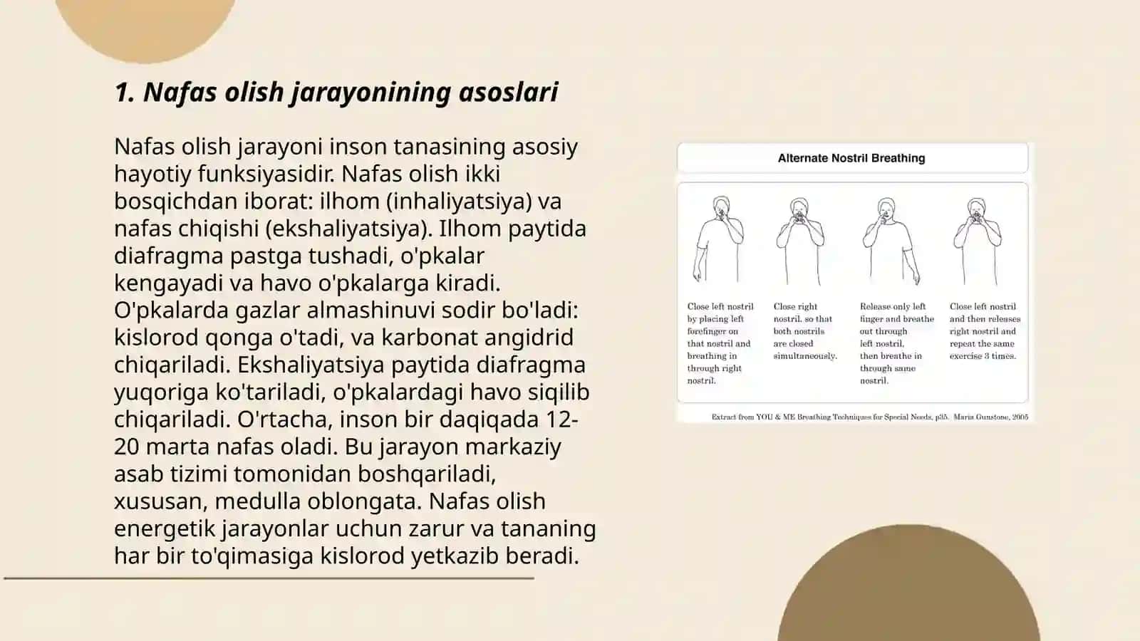 Nafasni idora etilishi 3