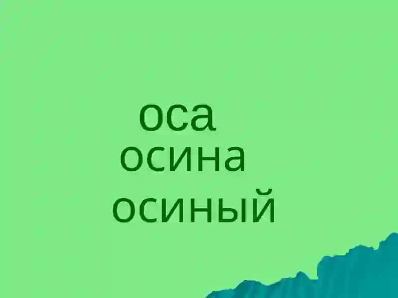 Однокоренные слова 3