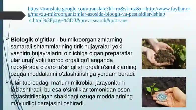 Mikroorganizmlar asosida bioo’g’it va pestitsidlar ishlab chiqarish 3