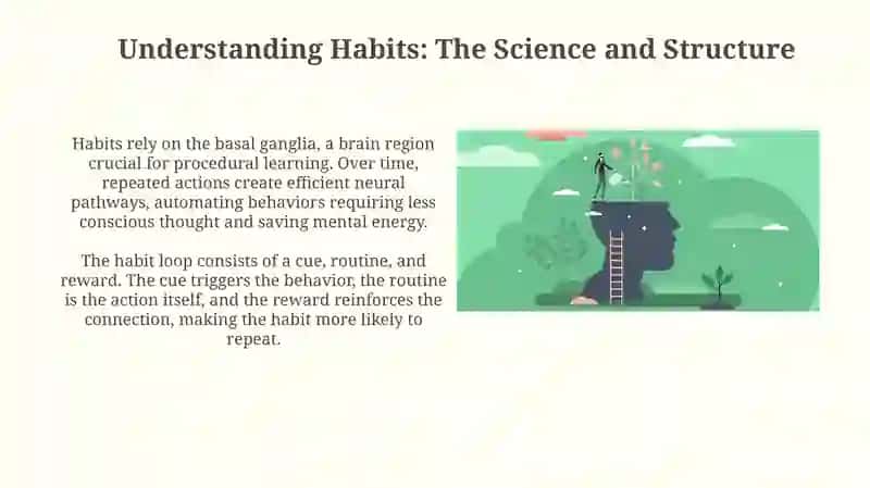 The Power of Habits and How They Shape Our Life 3