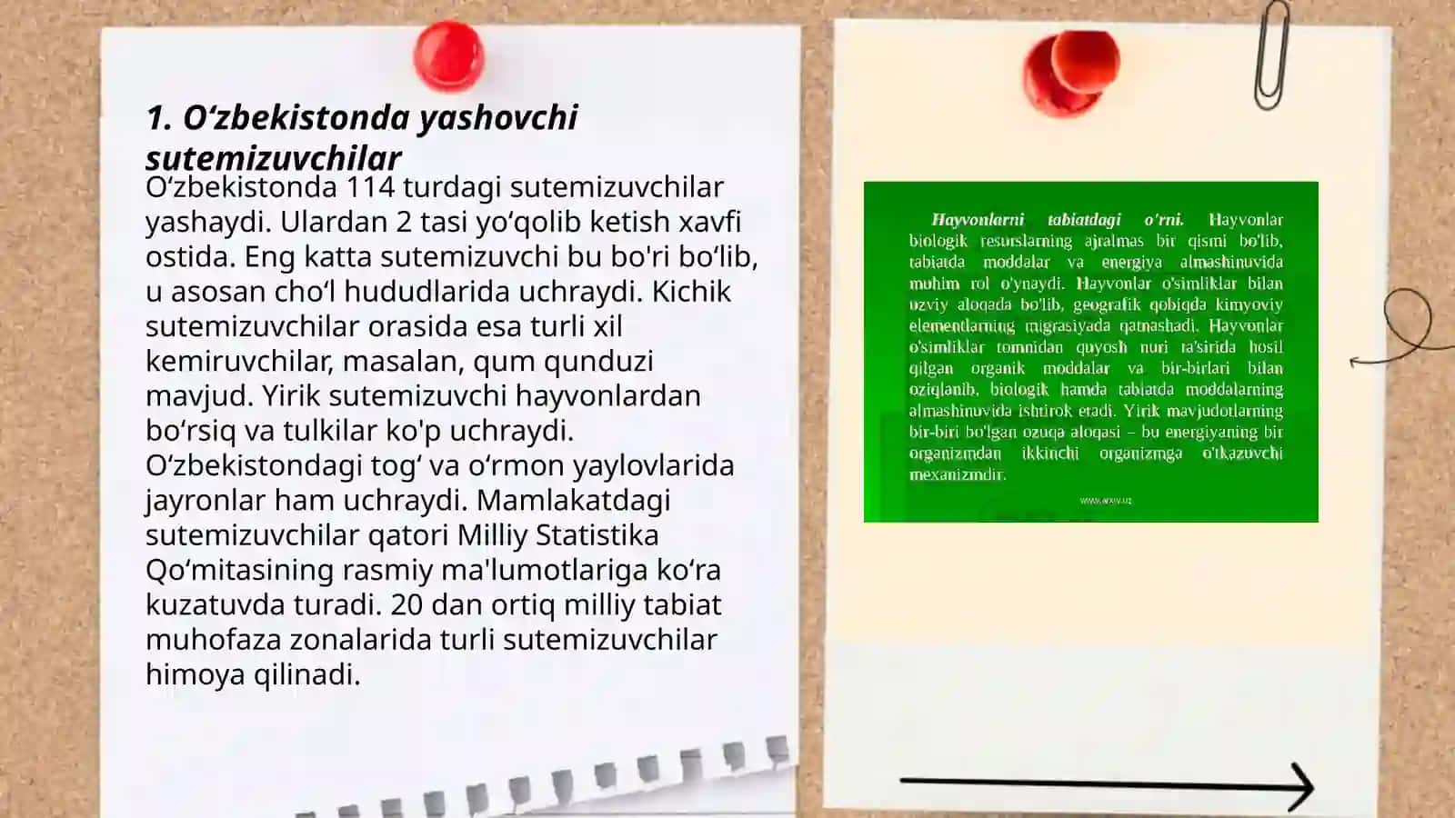 Oʻzbekistonda keng tarqalgan hayvonlar va oʻsimliklar 3