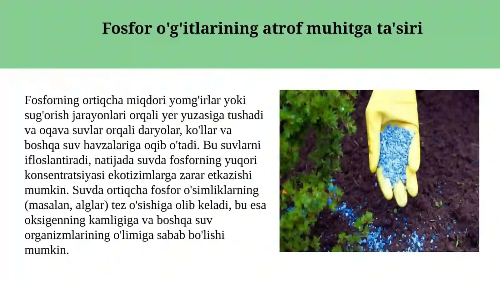 Fosforli o’g’itlarning ekalogik ro’li 3