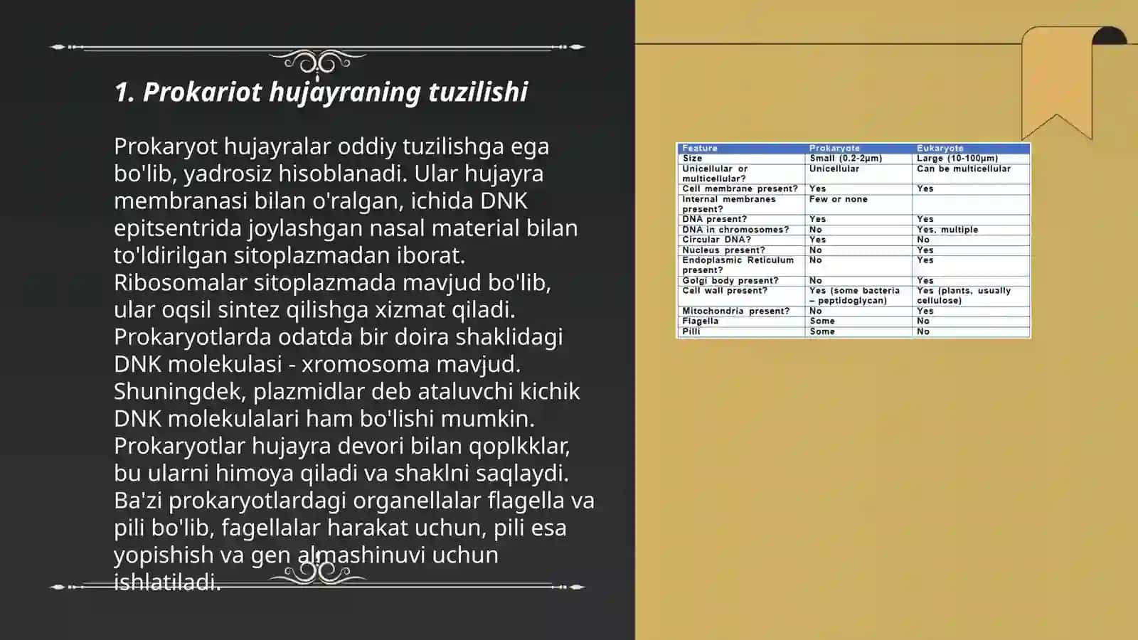 Prokariot va eukariot hujayralarning umumiy tuzilishini oʻrganish 3