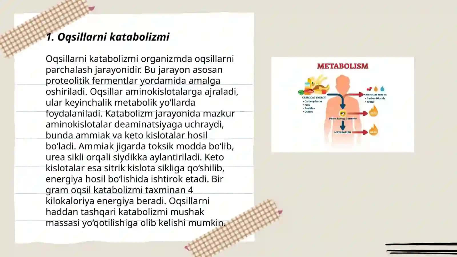 Rahmonova Ruxshonaning Tibbiy kimyo fanidan tayyorlagan taqdimoti 3