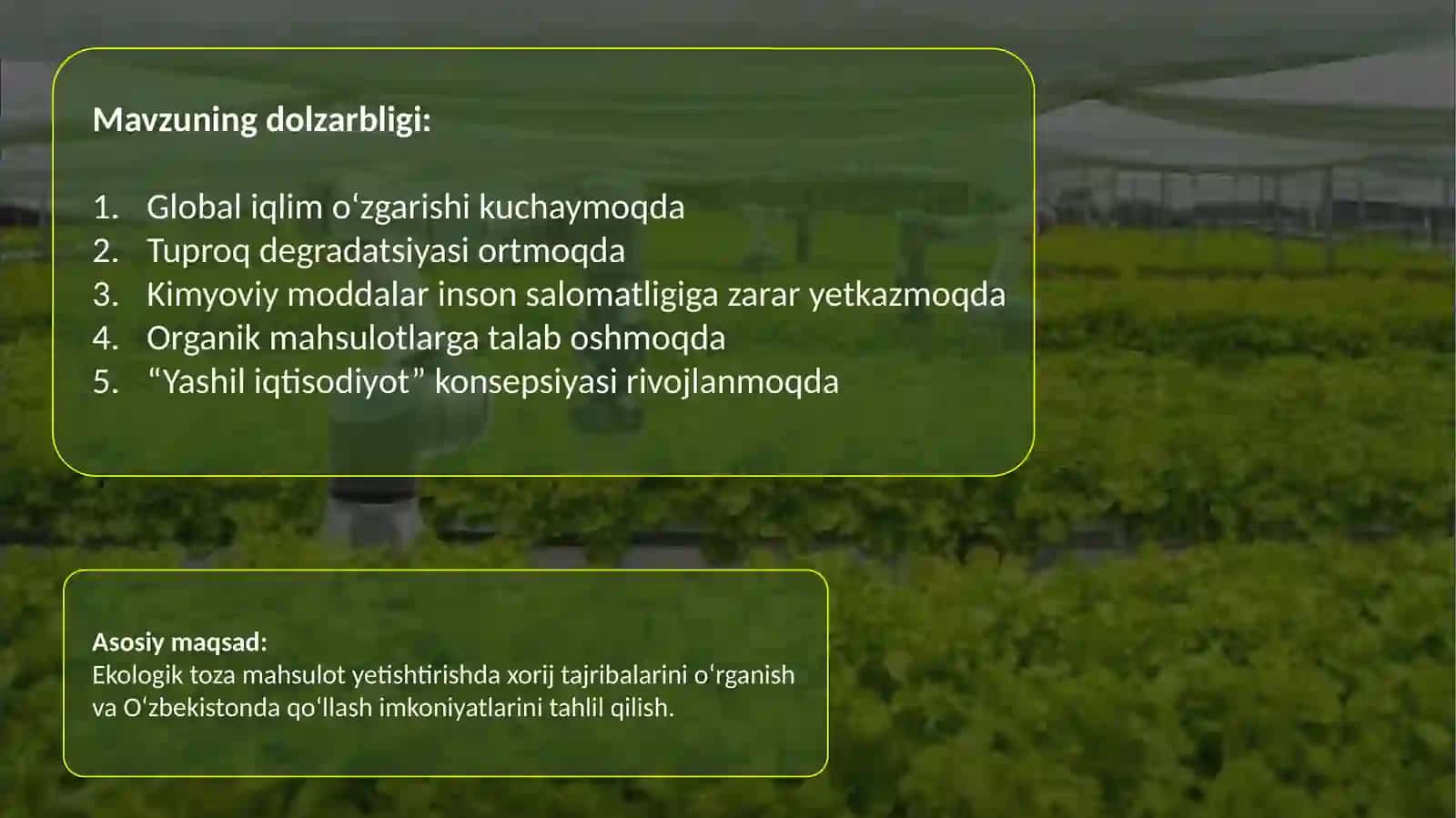 Ekologik toza mahsulot yetishtirishda xorij tajribalari va ularni yoritilishi 3