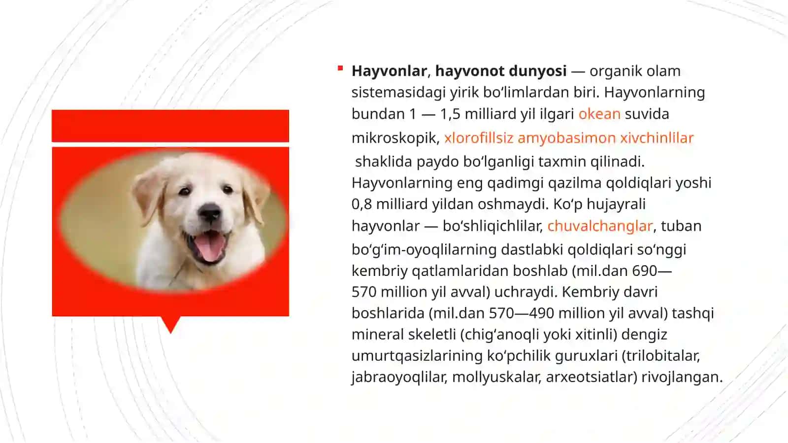 Hayvonot dunyosini muhofaza qilish va undan foydalanishning huquqiy tartibi 3