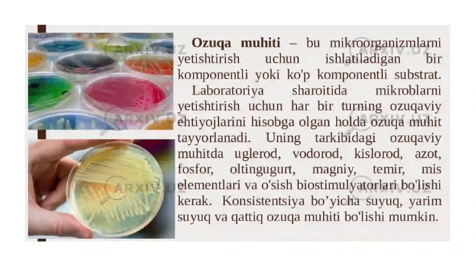 Mikroorganizmlarni o'stirish uchun oziq muhitlari 3