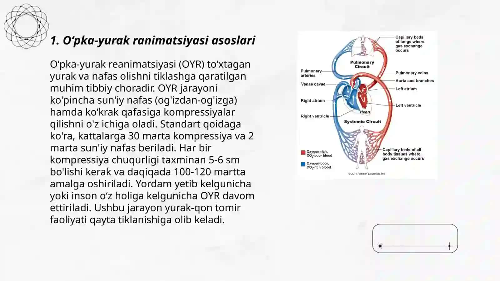 Oʻpka-yurak ranimatsiyasining shifoxonagacha boʻlgan bosqichda oʻtkazish tamoyillari 3