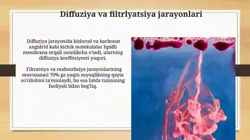 Mirotsirkulyatsiya fiziologiyasi 3