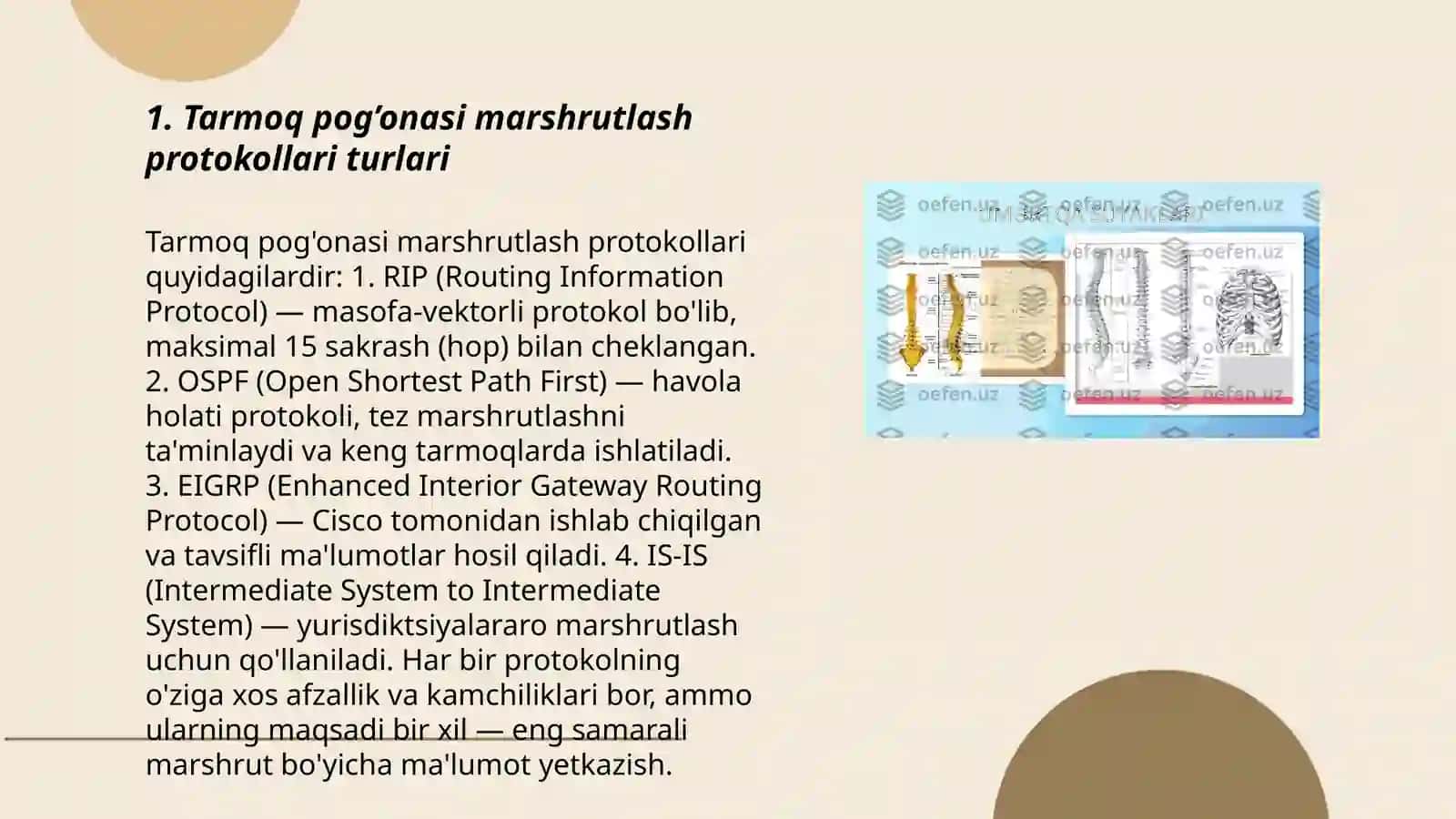 Tarmoq pog’onasi marshrutlash protokallarining algoritmlarini tahlil qilish 3