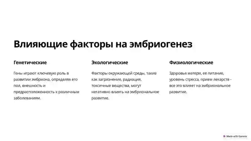 Гистология эмбриональных тканей 3