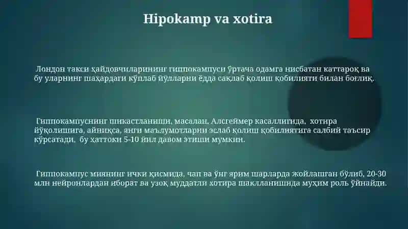 Xotira turlari va mexanizmlari 3