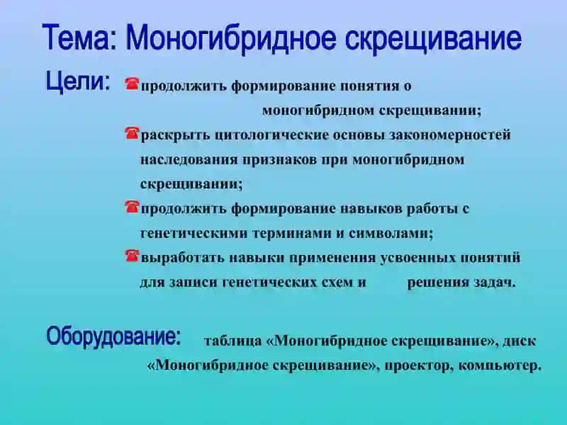 Моногибридное скрещивание 3