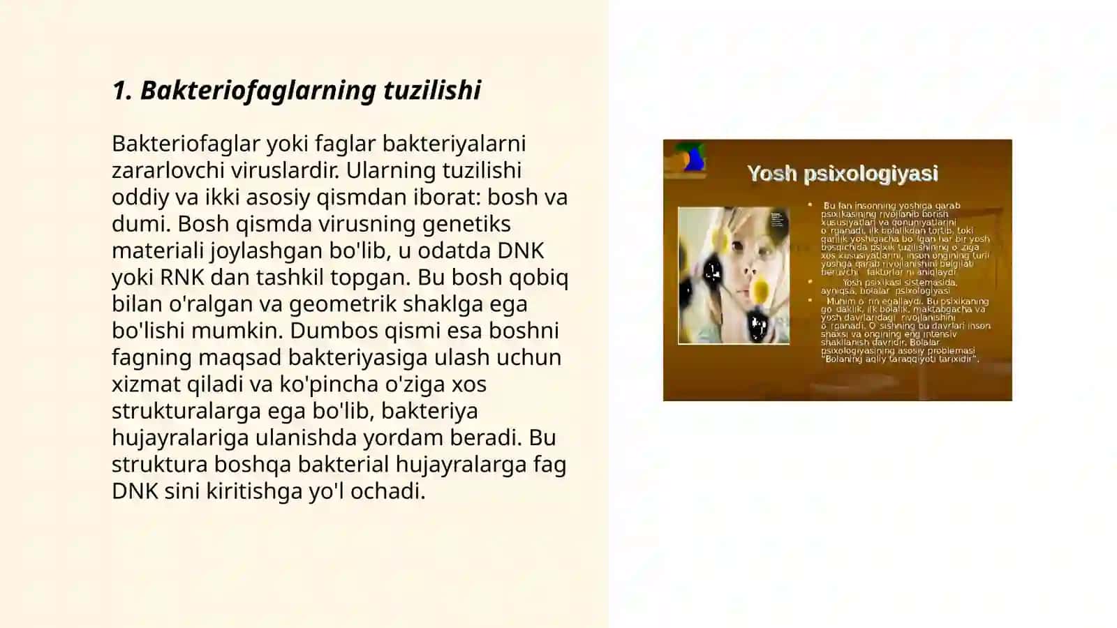 Bakteryafagni xususiyatlari 3