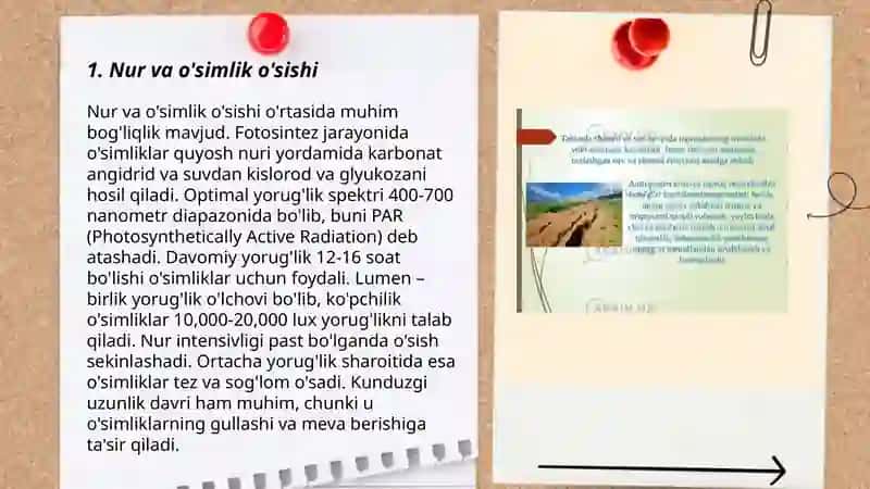Oʻsimlik oʻsishi rivojlanishi hosili va uning sifatiga taʼsir qiladigan omillar 3