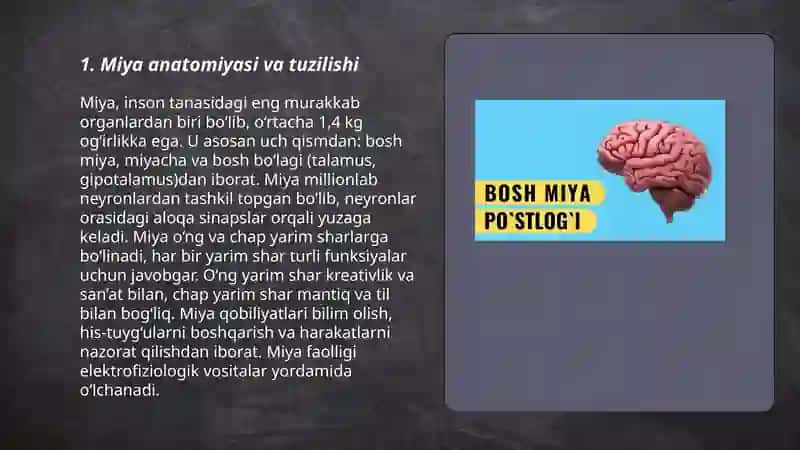 Bosh miya turli bo'limlari faoliyatini o'rganish fiziologiyasi 3