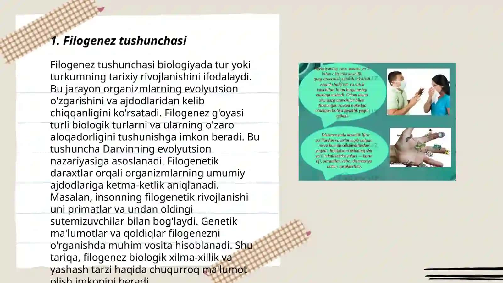 FILOGENEZDA A ’ZOLAR VA SISTEMALAR OʻZGARISHLARINING UMUMIY QONUNIYATLARI. ONTOGENEZ VA FILOGENEZ ORASIDAGI BOG‘LANISHLAR 3