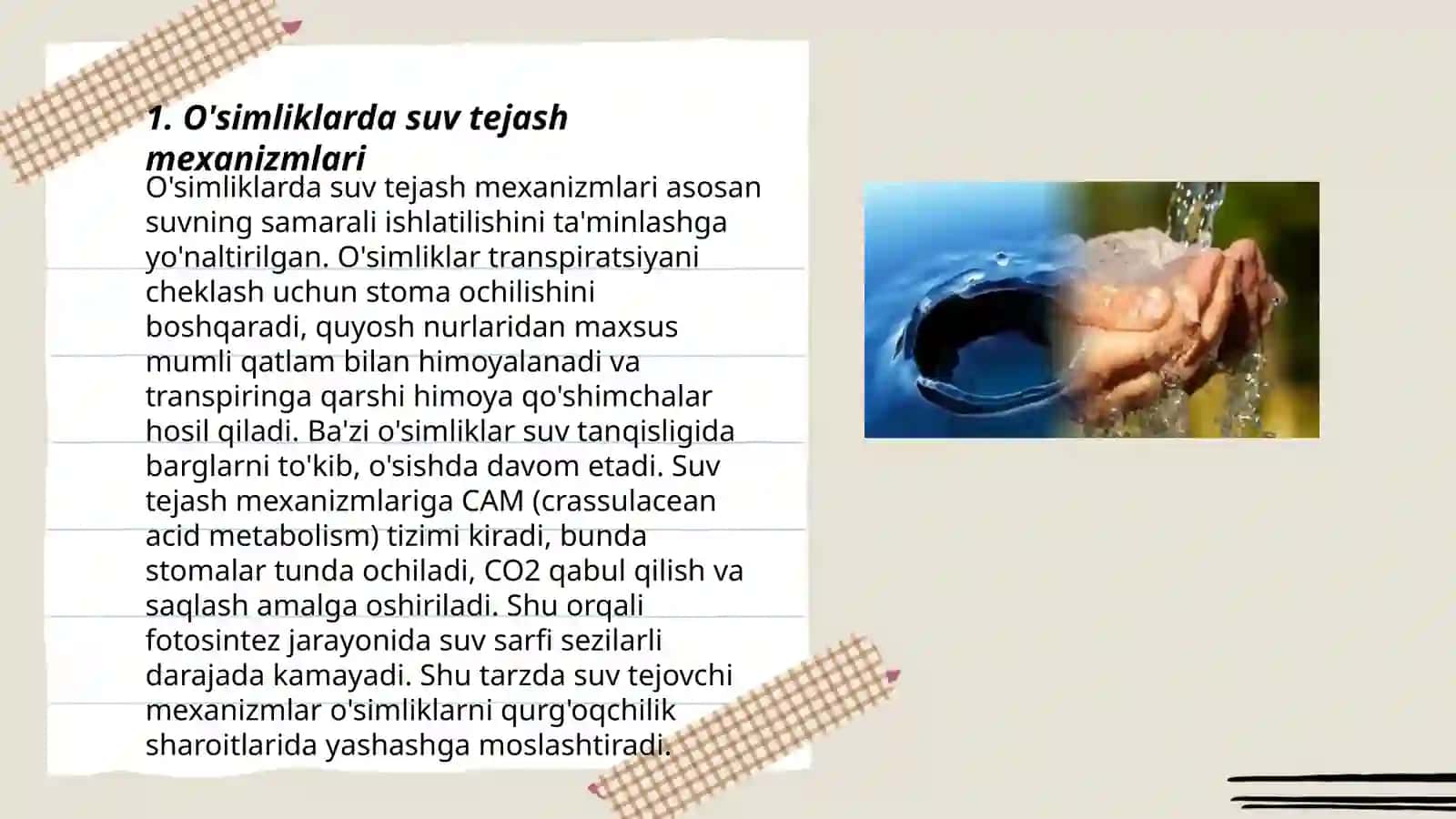 O'simliklarda suv tejash mexanizmlari 3