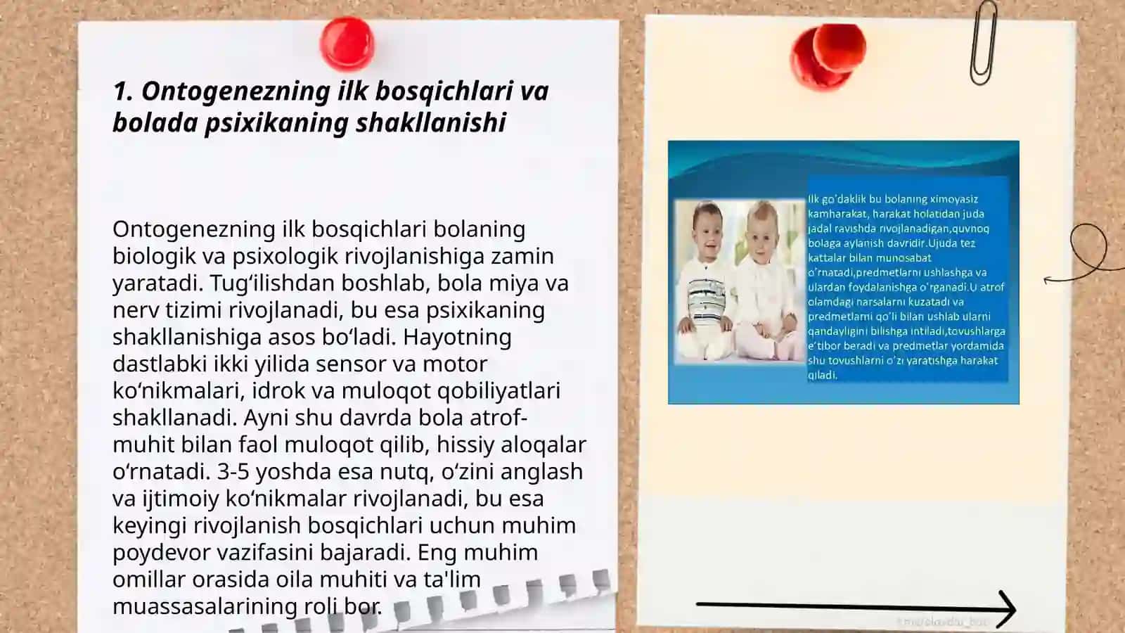 Ontogenezning ilk bosqichlarida insonning psixik rivojlanishiga xos xususiyatlar 3