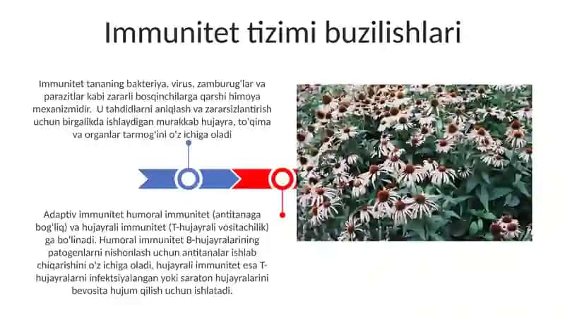 Immunitet va uning turlari 3