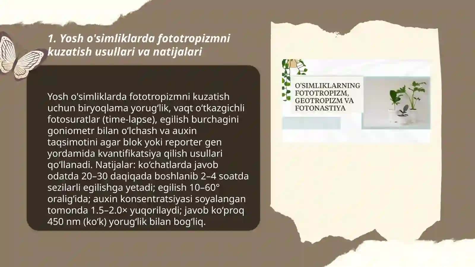O'simliklardagi fototropizm fotonastiya geotropizm hodisalarini kuzatish 3