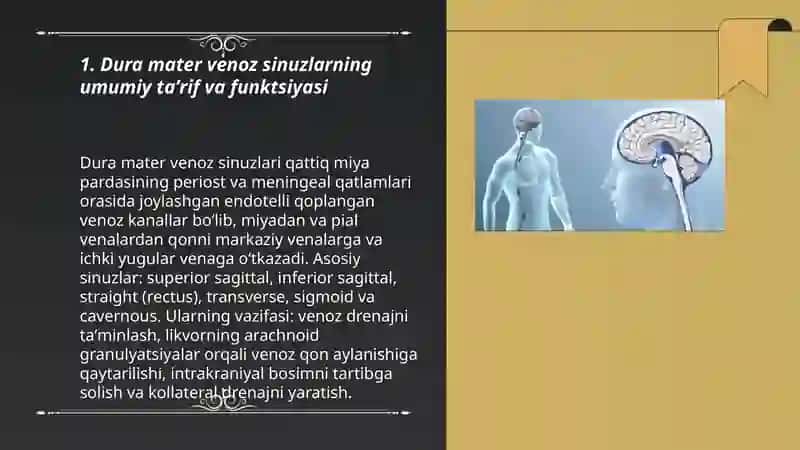 Bosh miya pardalarining vena boʻshliqlari va sistemalari 3