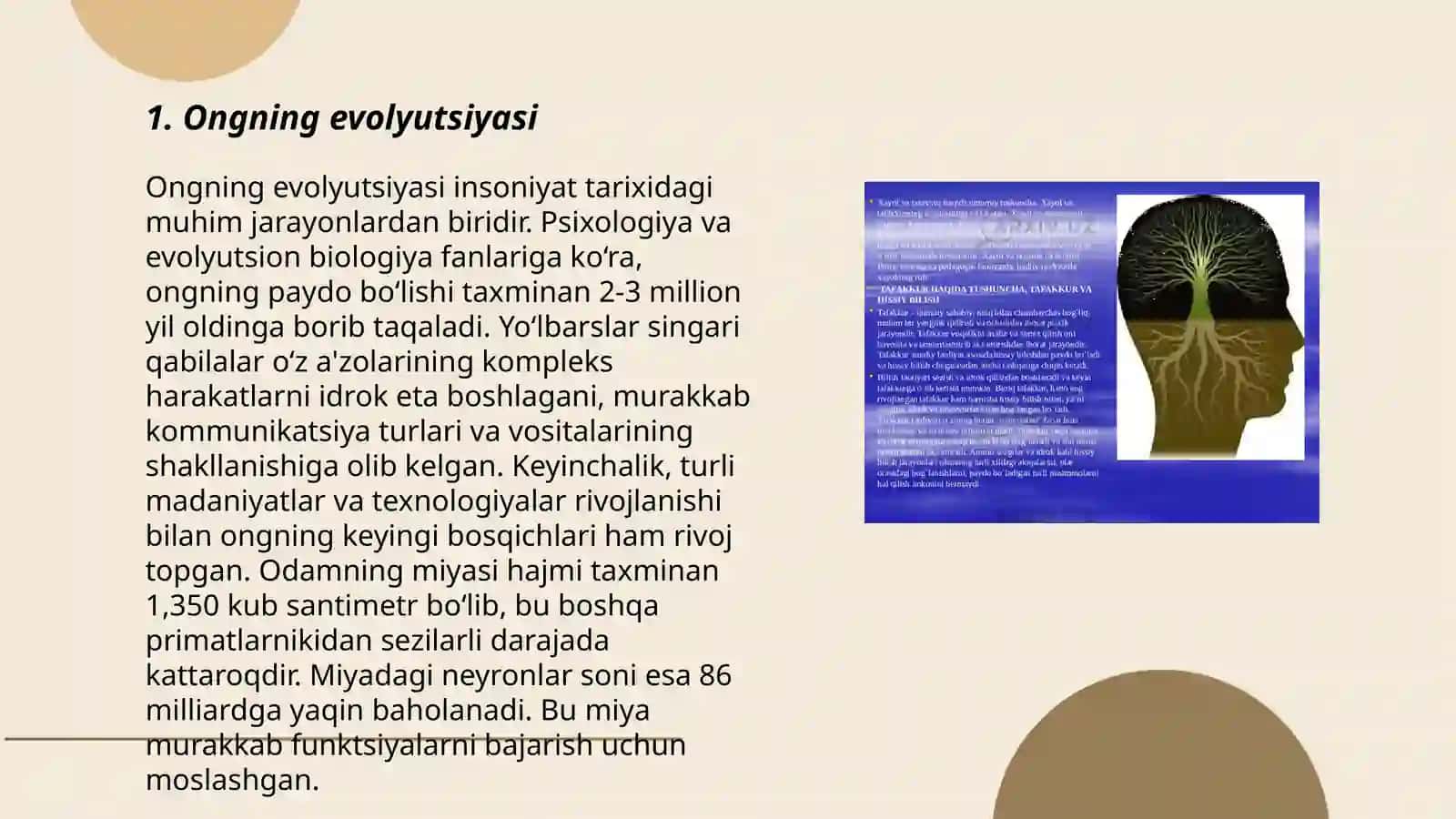 Ongning evolyutsiyasi 3