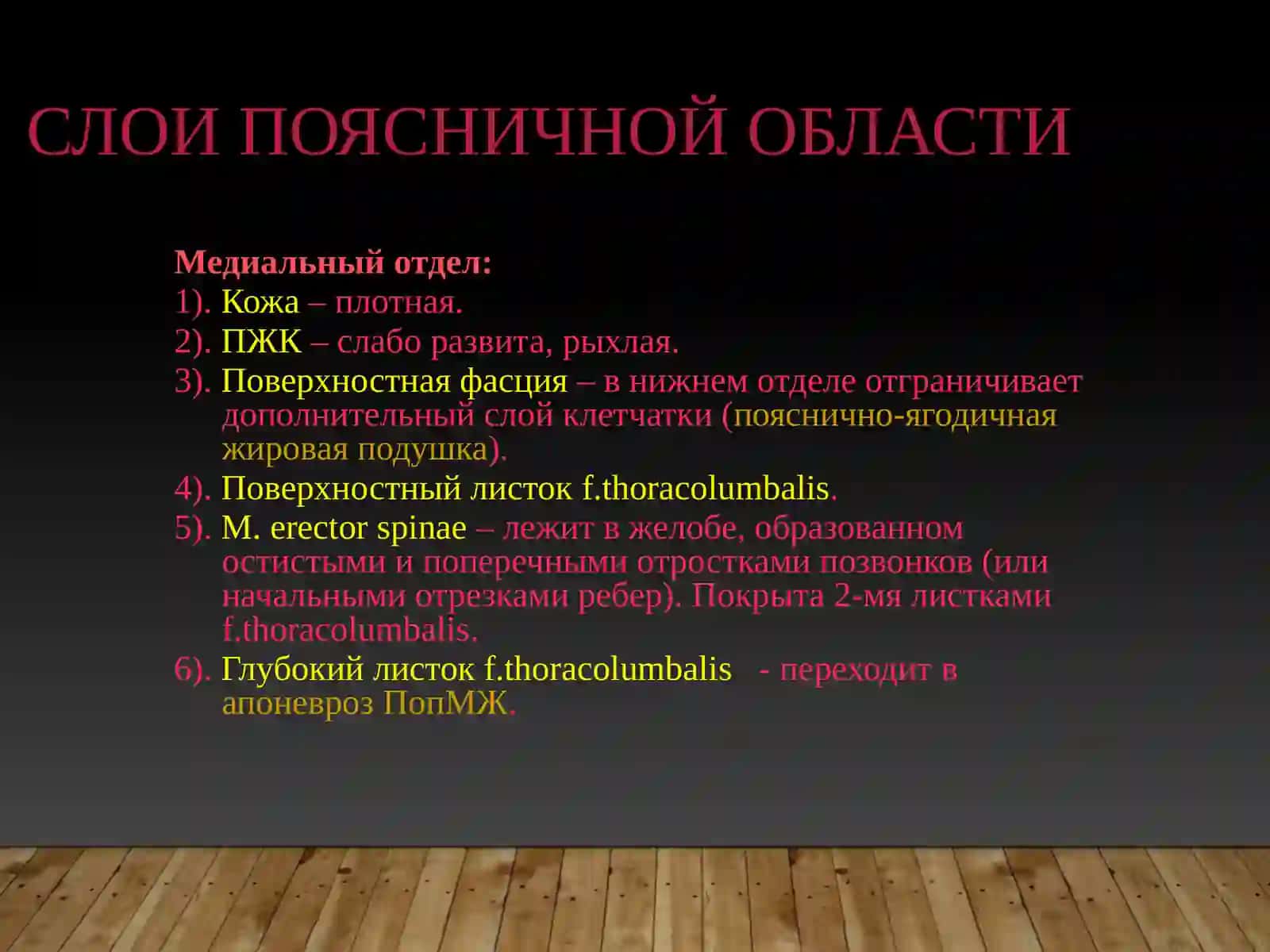 Клиническая анатомия поясничной области 3