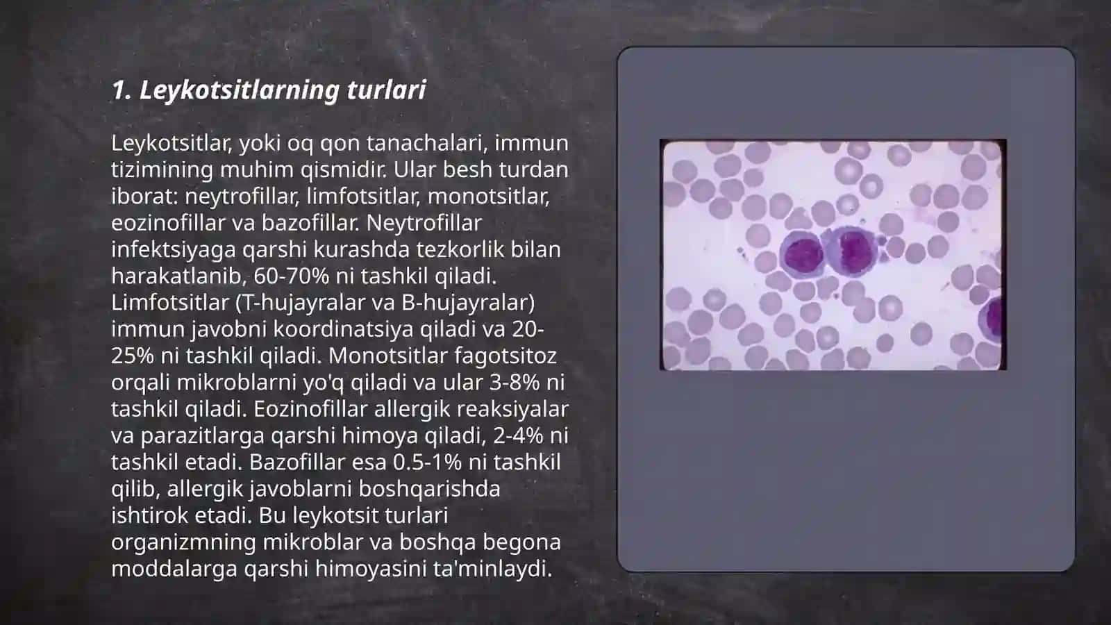 Leykotsitlar (oq qon tanachalari) 3