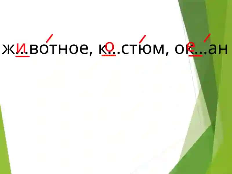 Орфографическая минутка 3