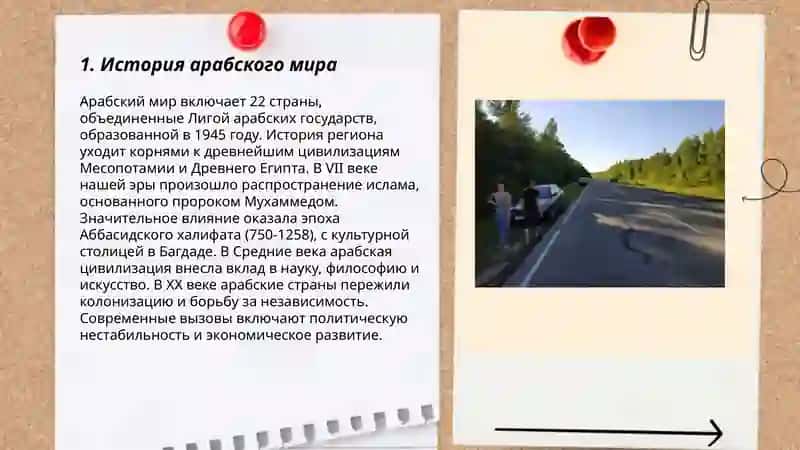 Мир Араб 3