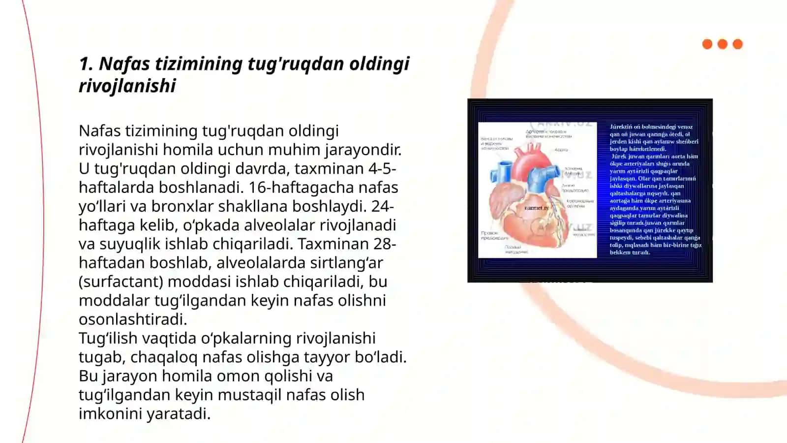 Nafas tizimining yoshga oid fiziologiyasi va gigiyenasi 3