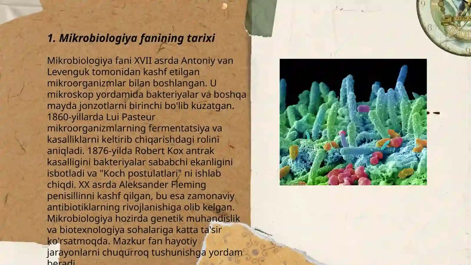 Mikroorganizmlar 3