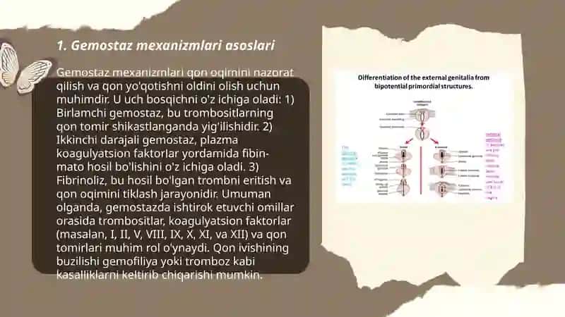 Gemostaz mexanizmlari va uning patologiyasi by Abduraupova Aziza 3