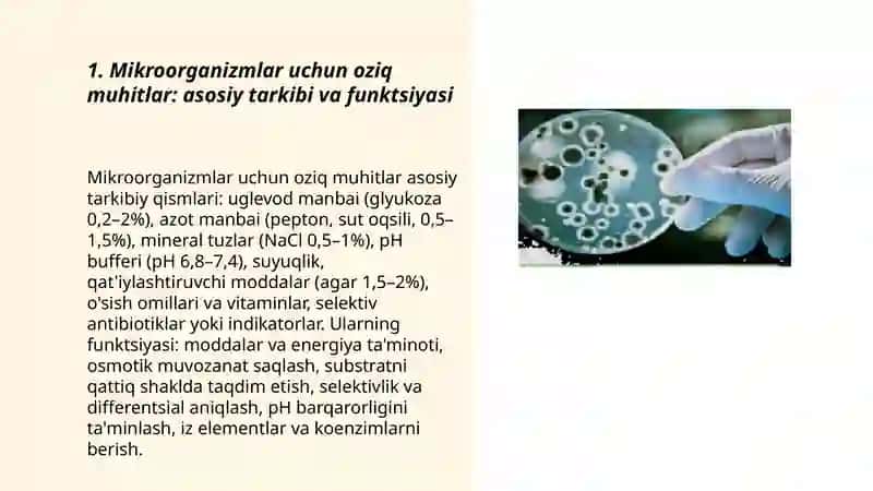 Mikroorganizmlar uchun oziq muhitlar. Mikroorganizmlarning sof kulturasini ajratish va identifikatsiya qilish 3