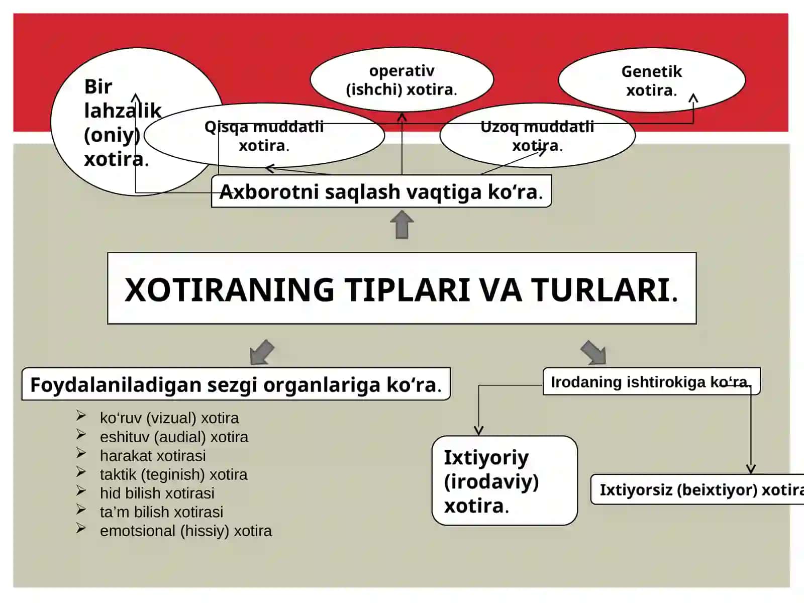 XOTIRA 3