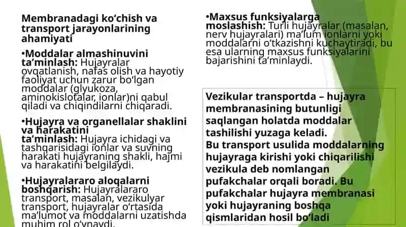 O‘sib rivojlanadigan organizm a'zolarini to‘liq different-siyalanishida membranadagi ko'chish va transport jarayonlarini ahamiyati va xususiyatlari 3