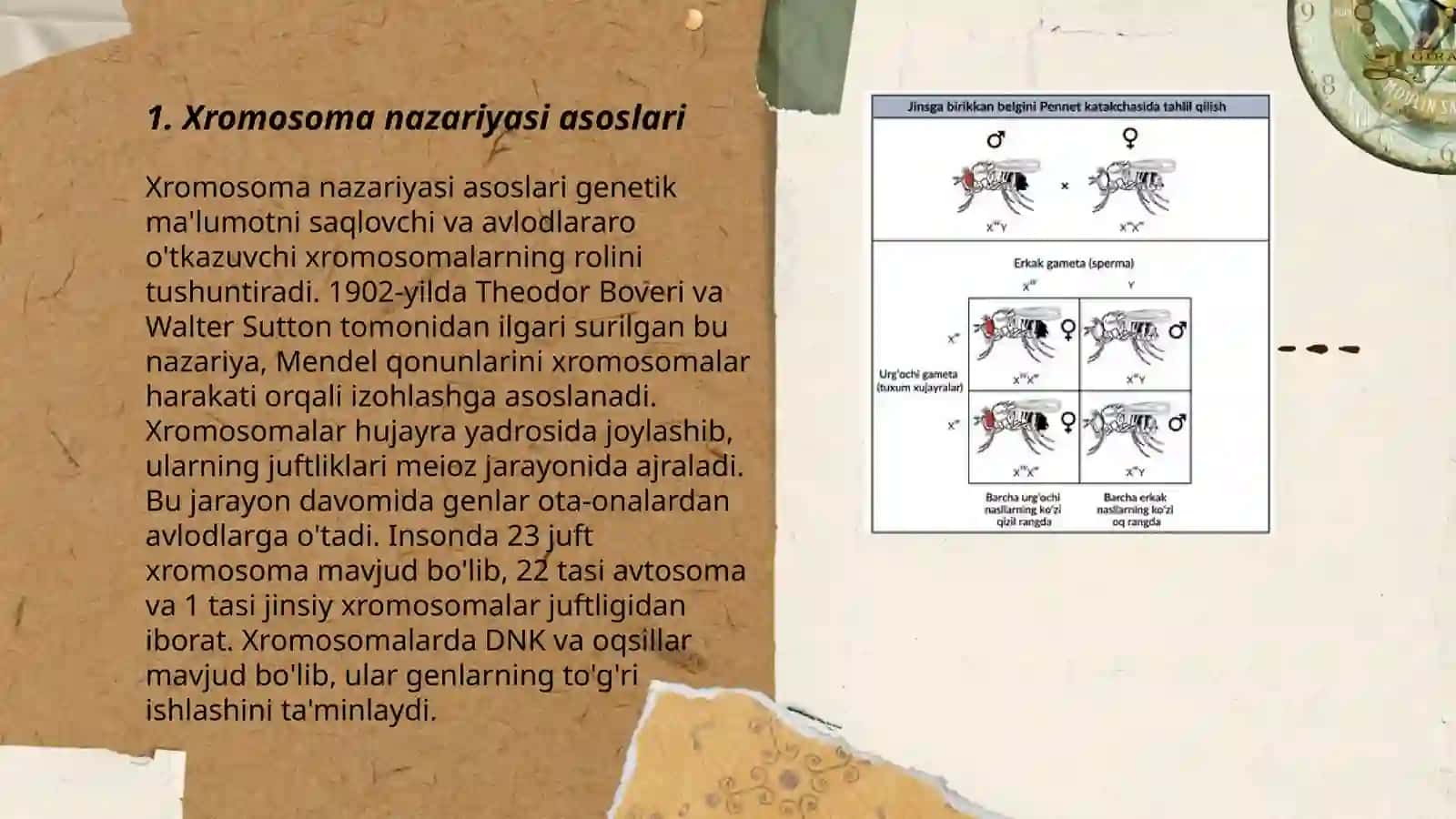 Irsiyarning Xramasoma nazariyasi 3