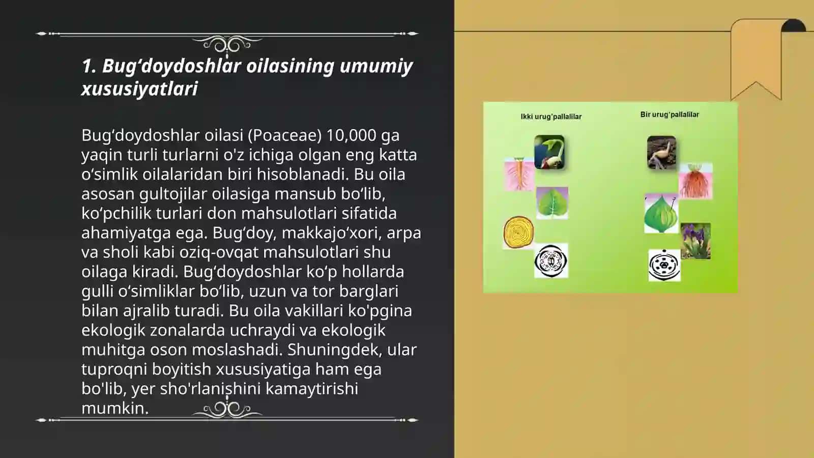 Bugʻdoydoshlar oilasi 3