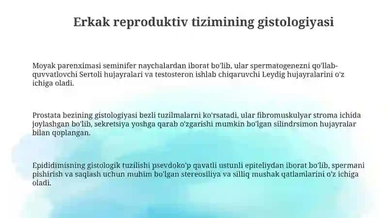 Erkaklar Va Ayollar Jinsiy Sistemasi Gistologiyasi 3