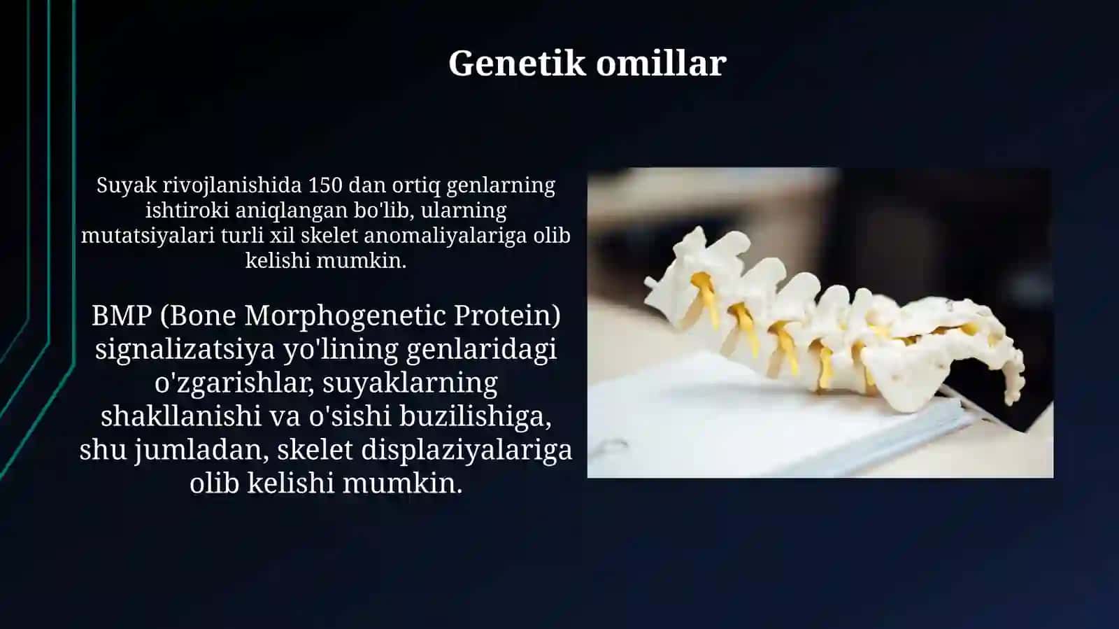 Suyaklarning òsishi va rivojlanishiga tasir otkazuvchi omillar 3