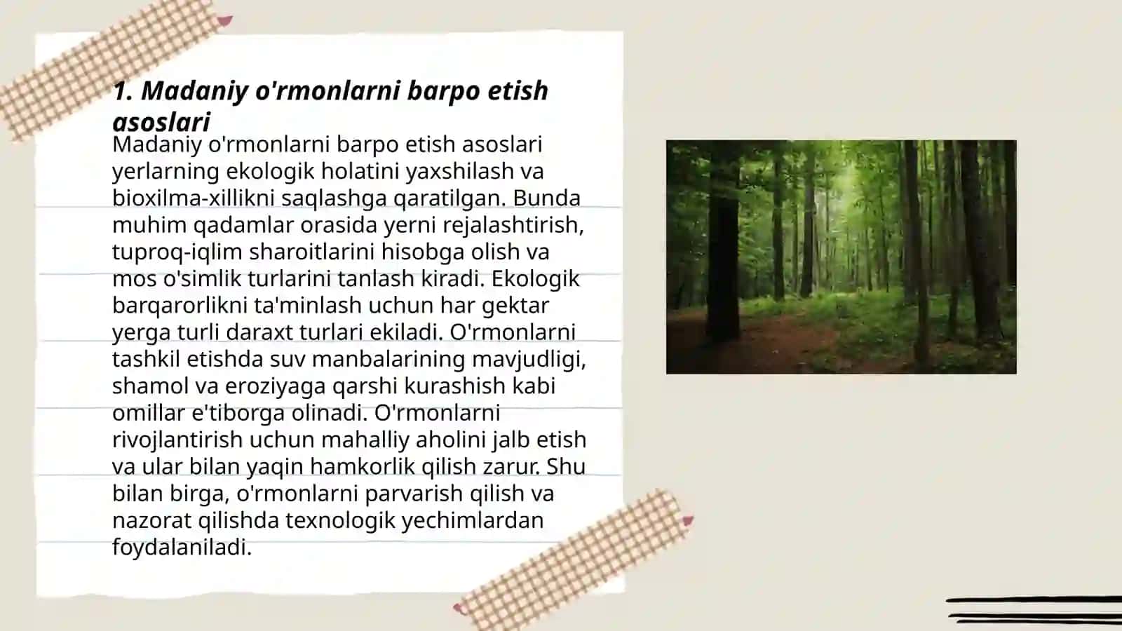 Madaniy o'rmonlarni barpo etish tehnalogiyasi 3