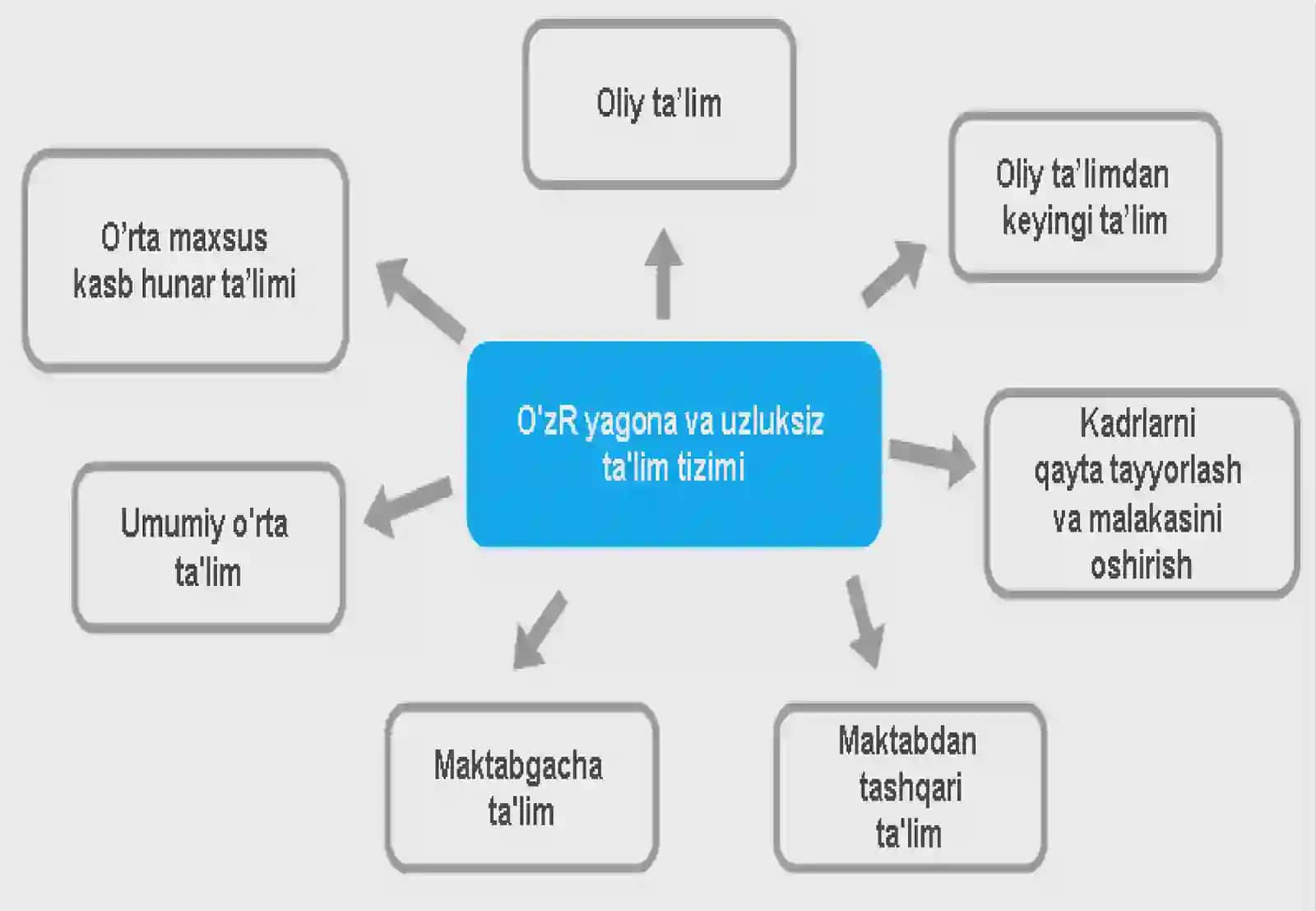 Oliy-tibbiyot ta'limi 3